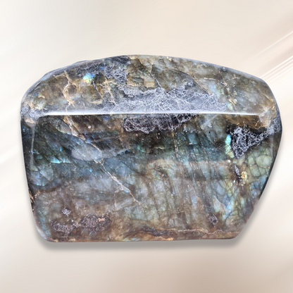 Forme libre en Labradorite 1229g (PRGFL527-9)