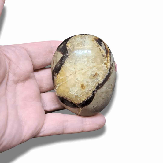 Galet en Septaria et Calcite jaune (PRGFL717) - ENAE Minéraux