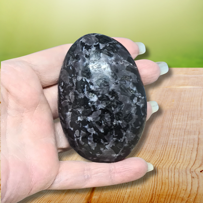 Galet en Gabbro 181g (PRGFL524-9)