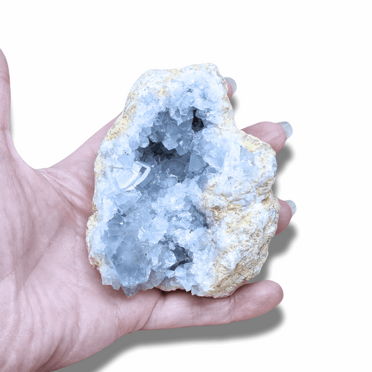 Géode de Célestine bleue brute (MB331-5)