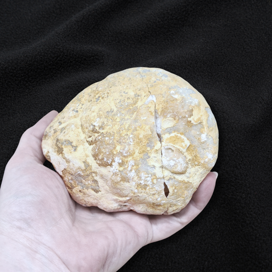 Géode complète de Cristal de Roche 729g (MB306-14)