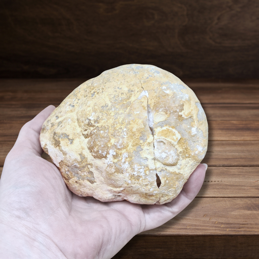 Géode complète de Cristal de Roche 729g (MB306-14) - ENAE Minéraux
