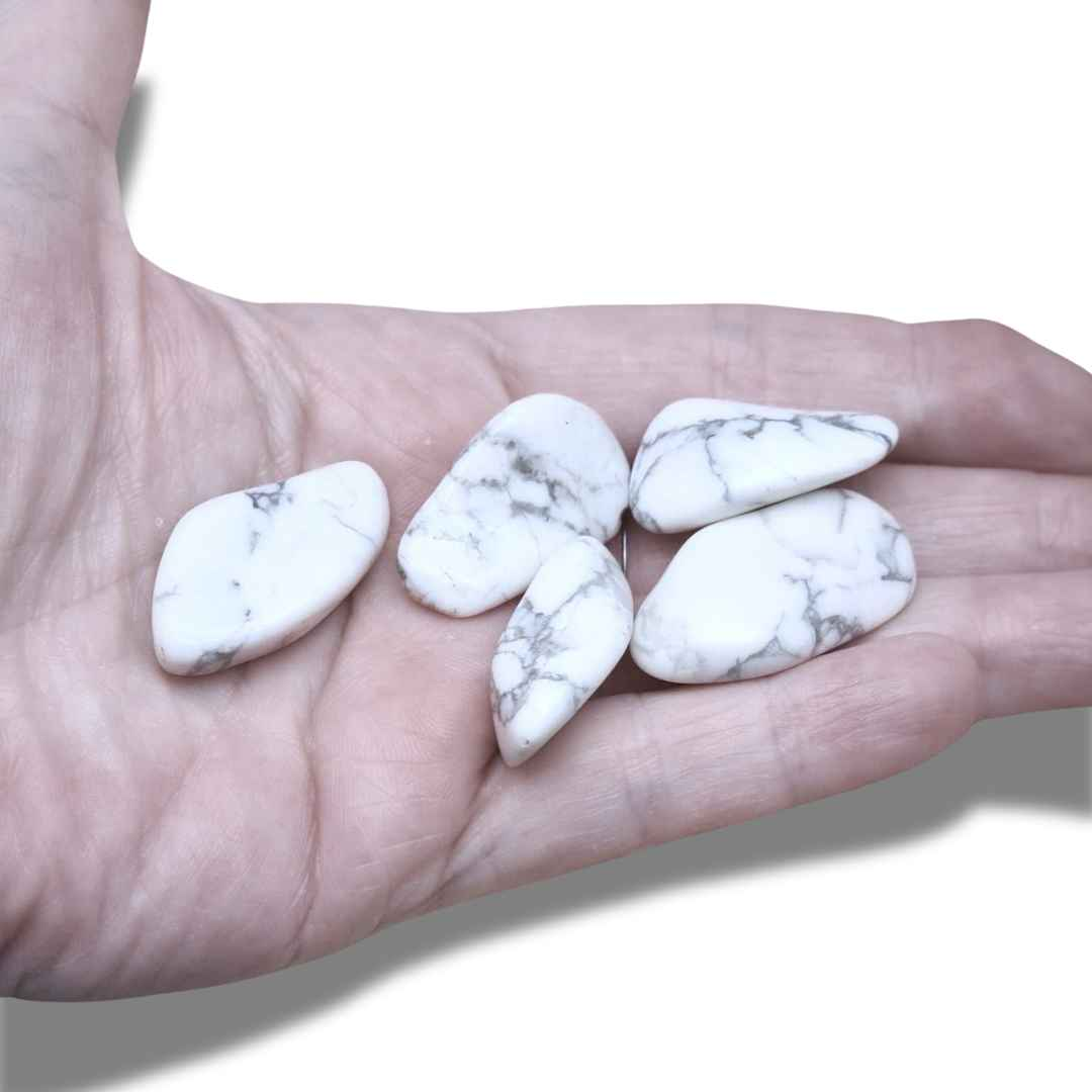 Howlite - Pierre roulée (PRGFL438) - ENAE Minéraux