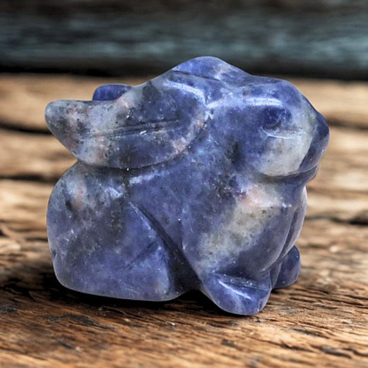 Lapin en Sodalite 28g (PRGFL365-6)