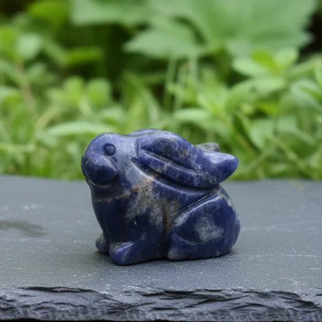 Lapin en Sodalite 28g (PRGFL365-6)