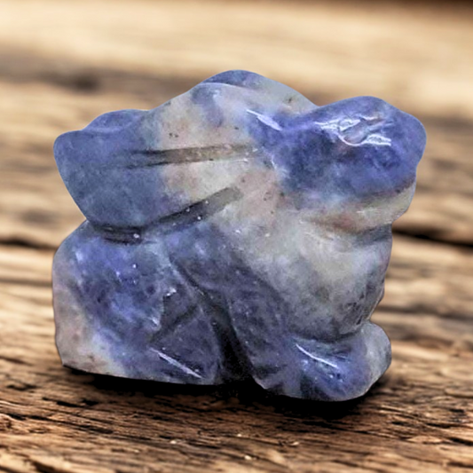 Lapin en Sodalite 22g (PRGFL365-7)