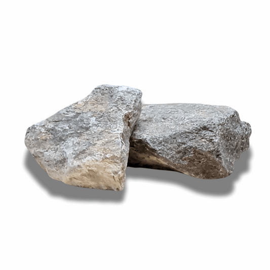 Lot de 2 os de dinosaure fossilisé brut (MB530-2) - ENAE Minéraux