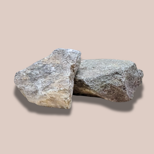 Lot de 2 os de dinosaure fossilisé brut (MB530-2)