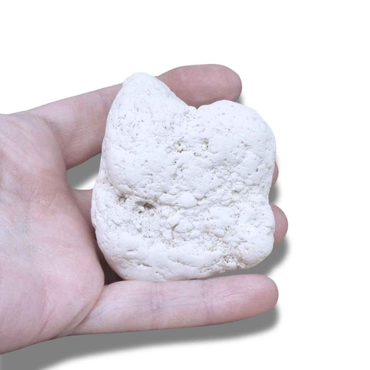 Magnésite brute (MB373-1) - ENAE Minéraux