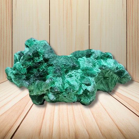Malachite fibreuse brute 39g (MB495-5) - ENAE Minéraux
