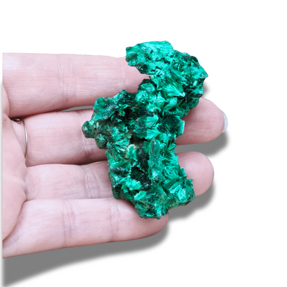 Malachite fibreuse brute (MB495-2) - ENAE Minéraux
