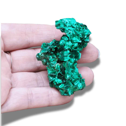 Malachite fibreuse brute (MB495-2)