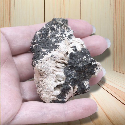 Néphéline sur Schorlomite brute 96g (MB220) - ENAE Minéraux