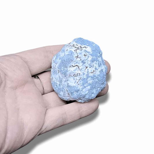 Nodule d'Angélite brute (MB521-2)