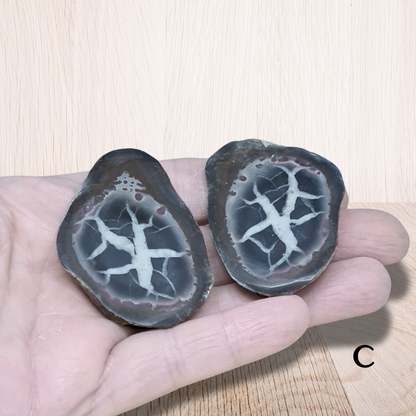 Nodule entier de Septaria, au choix (PRGFL301) - ENAE Minéraux