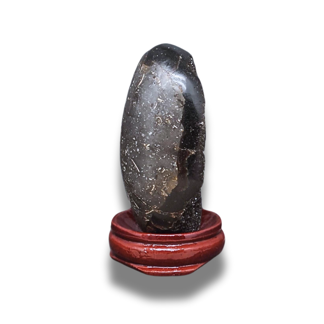 Œuf en Septaria brut et poli (PRGFL588-2) - ENAE Minéraux