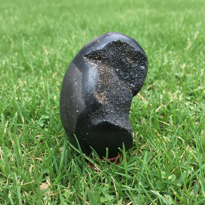 Œuf en Septaria brut et poli 114g (PRGFL588-10)