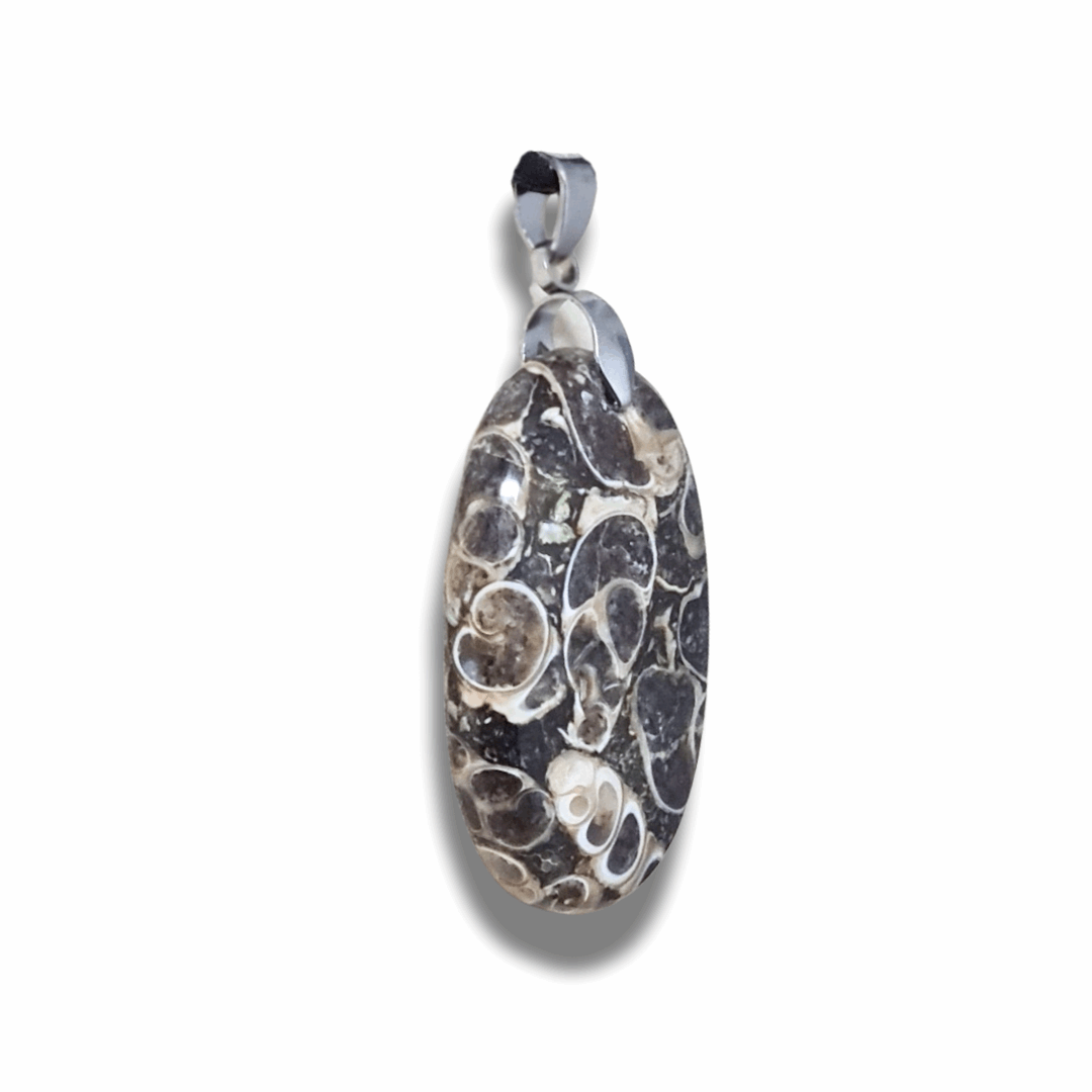 Pendentif en Agate à Turritelles (PE449)