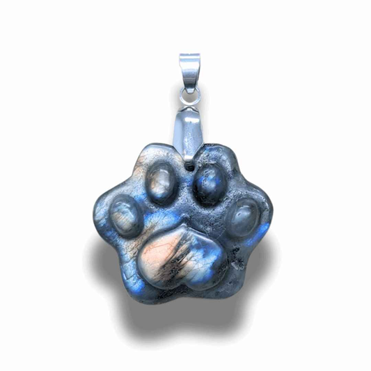 Pendentif patte en Labradorite (PE2022-1)