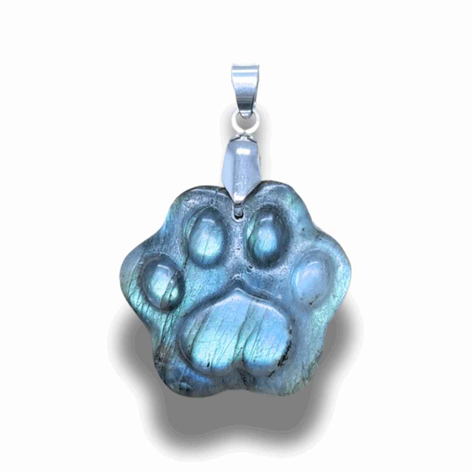 Pendentif patte en Labradorite (PE2022-3)