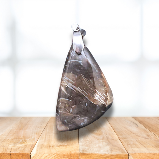 Pendentif en Agate fossile (PE1487)