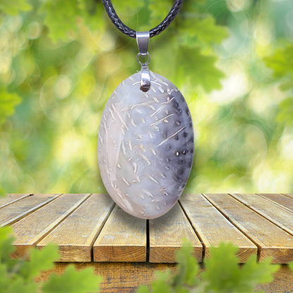 Pendentif en Agate fossile (PE1488)