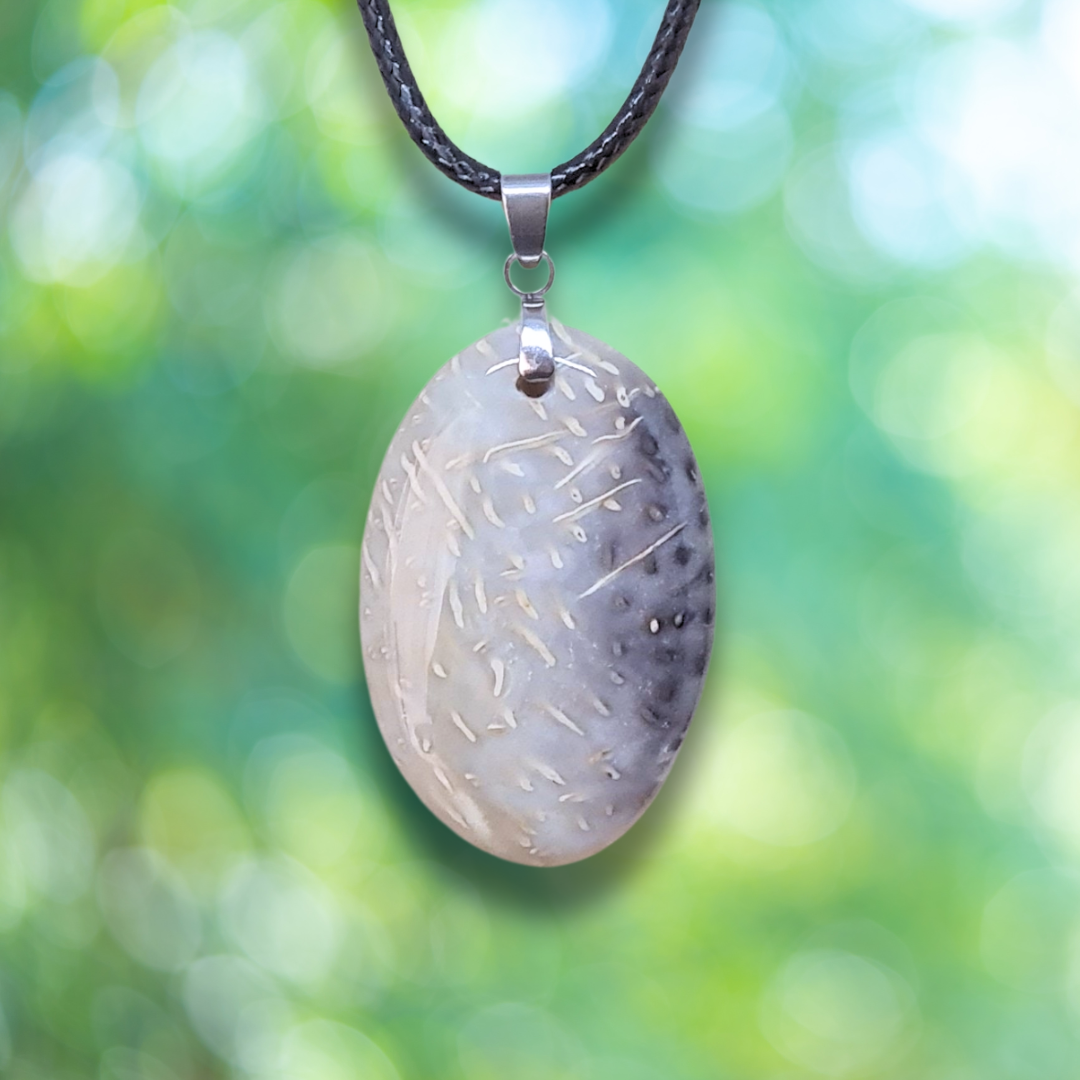 Pendentif en Agate fossile (PE1488)