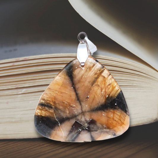 Pendentif en Chiastolite (Andalousite) (PE1365-1)