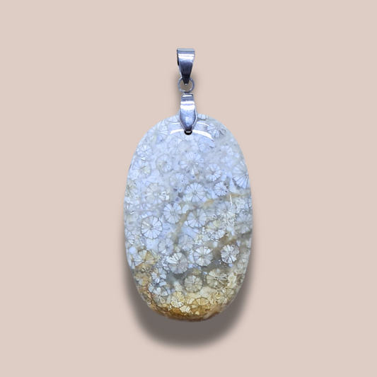 Pendentif en Corail fossilisé (PE1562)