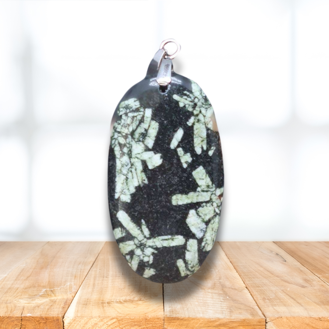 Pendentif en Devonite (PE1968) - ENAE Minéraux