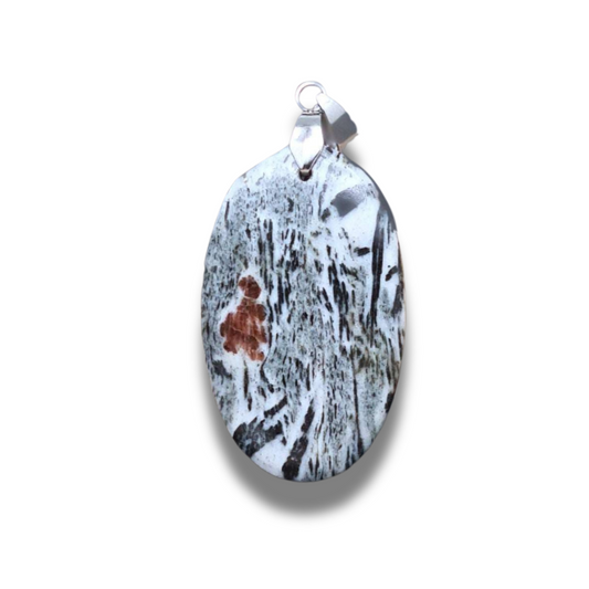 Pendentif en Hornblende avec Grenat (PE693) - ENAE Minéraux
