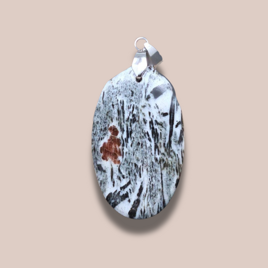 Pendentif en Hornblende avec Grenat (PE693)