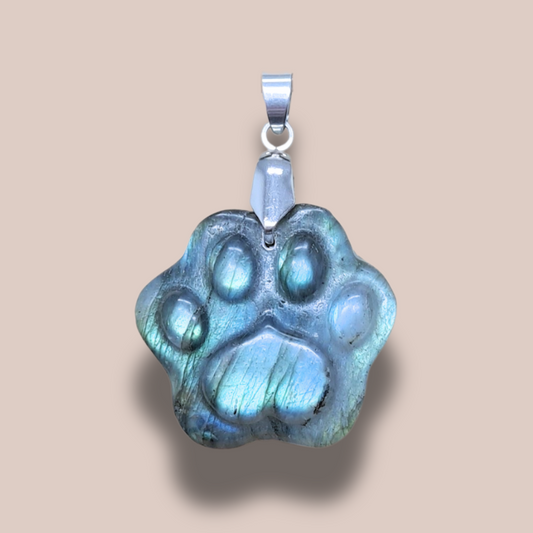 Pendentif patte en Labradorite (PE2022-3)