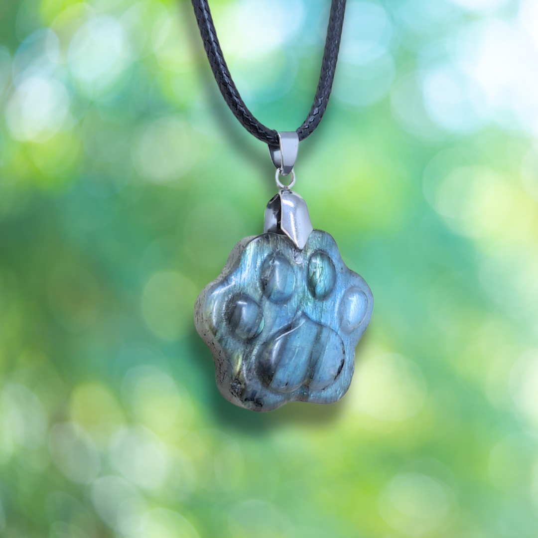 Pendentif patte en Labradorite (PE2022-3)