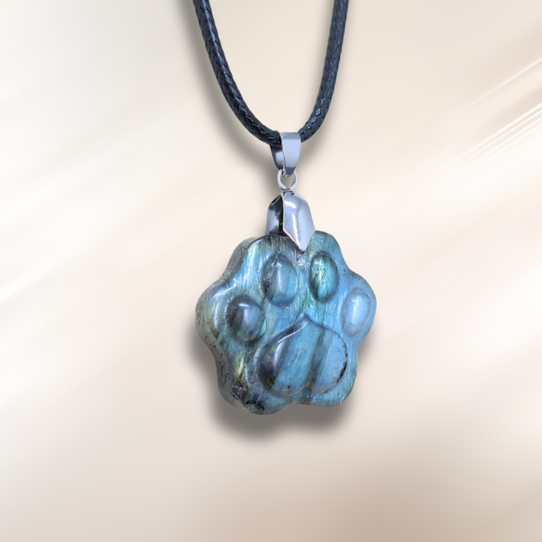 Pendentif patte en Labradorite (PE2022-3)