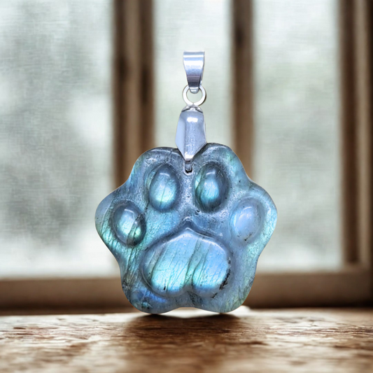 Pendentif patte en Labradorite (PE2022-3)