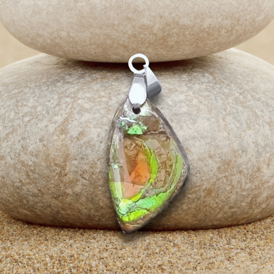 Pendentif en Ammolite (PE1909-1)