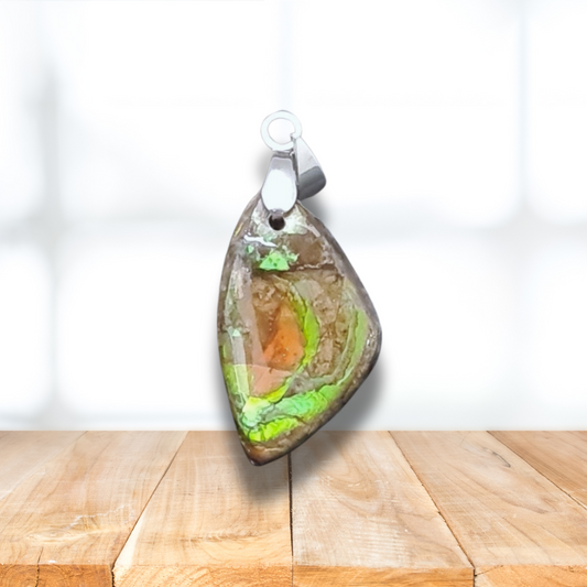 Pendentif en Ammolite (PE1909-1) - ENAE Minéraux