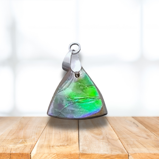 Pendentif en Ammolite (PE1909-4) - ENAE Minéraux