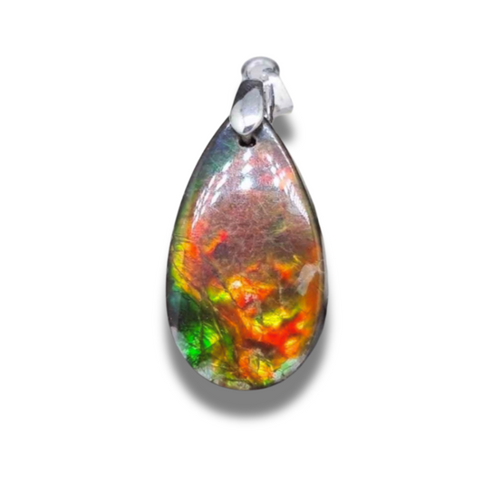 Pendentif en Ammolite (PE1814) - ENAE Minéraux