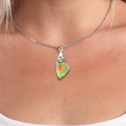 Pendentif en Ammolite (PE1909-1)