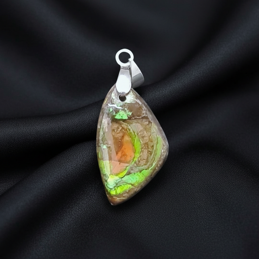 Pendentif en Ammolite (PE1909-1)