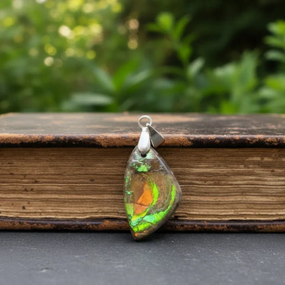 Pendentif en Ammolite (PE1909-1)