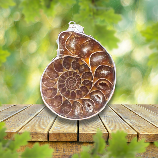 Pendentif serti en Ammonite dos brut (PE1828-1)