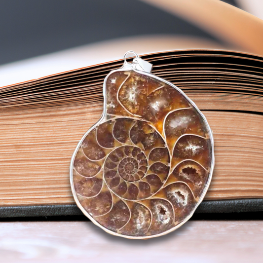 Pendentif serti en Ammonite dos brut (PE1828-1)