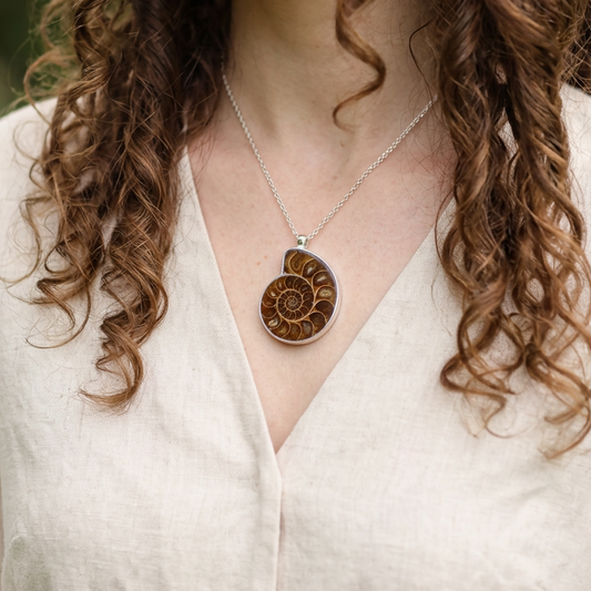 Pendentif serti en Ammonite dos brut (PE1828-1)