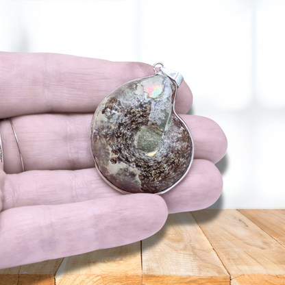 Pendentif serti en Ammonite dos brut (PE1828-1) - ENAE Minéraux