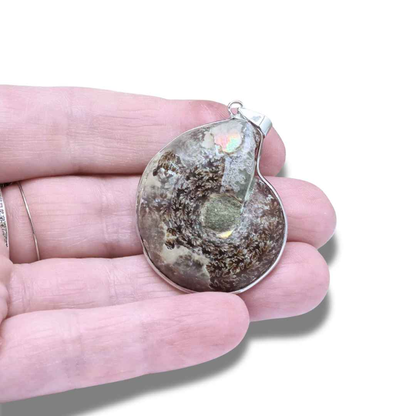 Pendentif serti en Ammonite dos brut (PE1828-1)