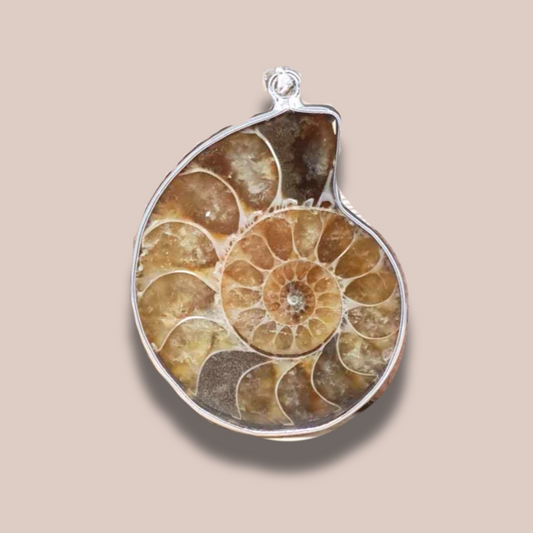 Pendentif serti en Ammonite dos brut (PE1828-2)