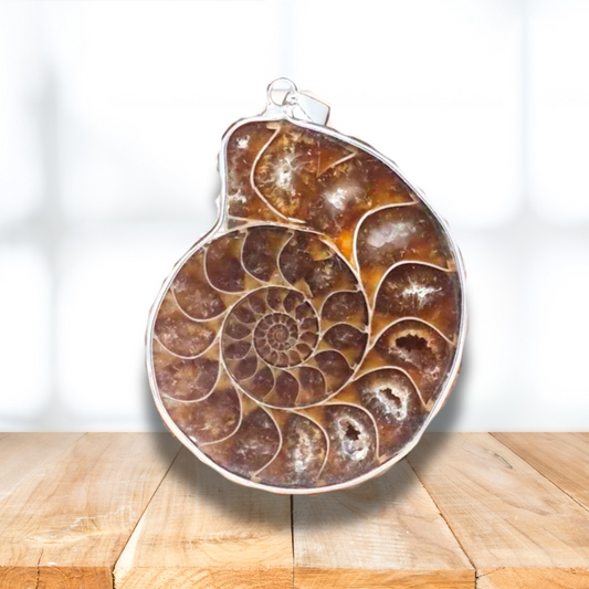 Pendentif serti en Ammonite dos brut (PE1828-1) - ENAE Minéraux
